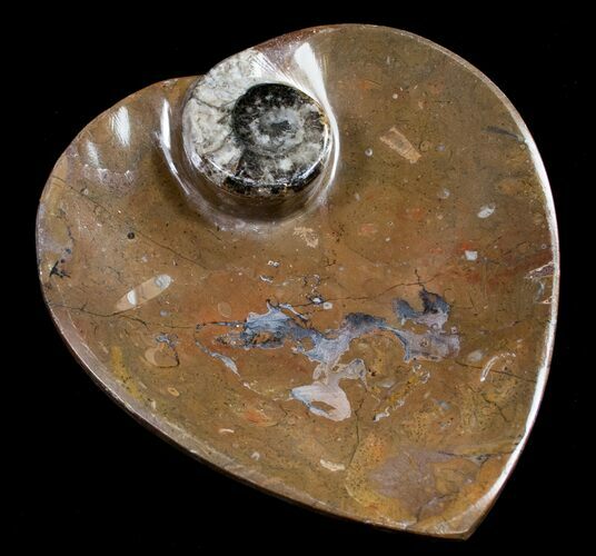 Heart Shaped Fossil Goniatite Dish #8864